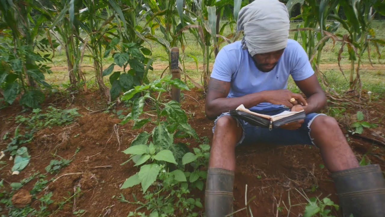 Dahvid Slur - Positive Mindset (Official Music Video)