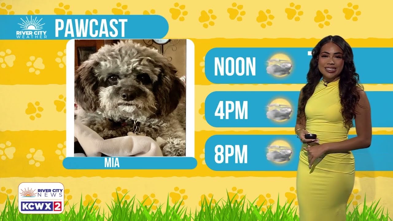 PAWCAST FORECAST:  MEET MIA