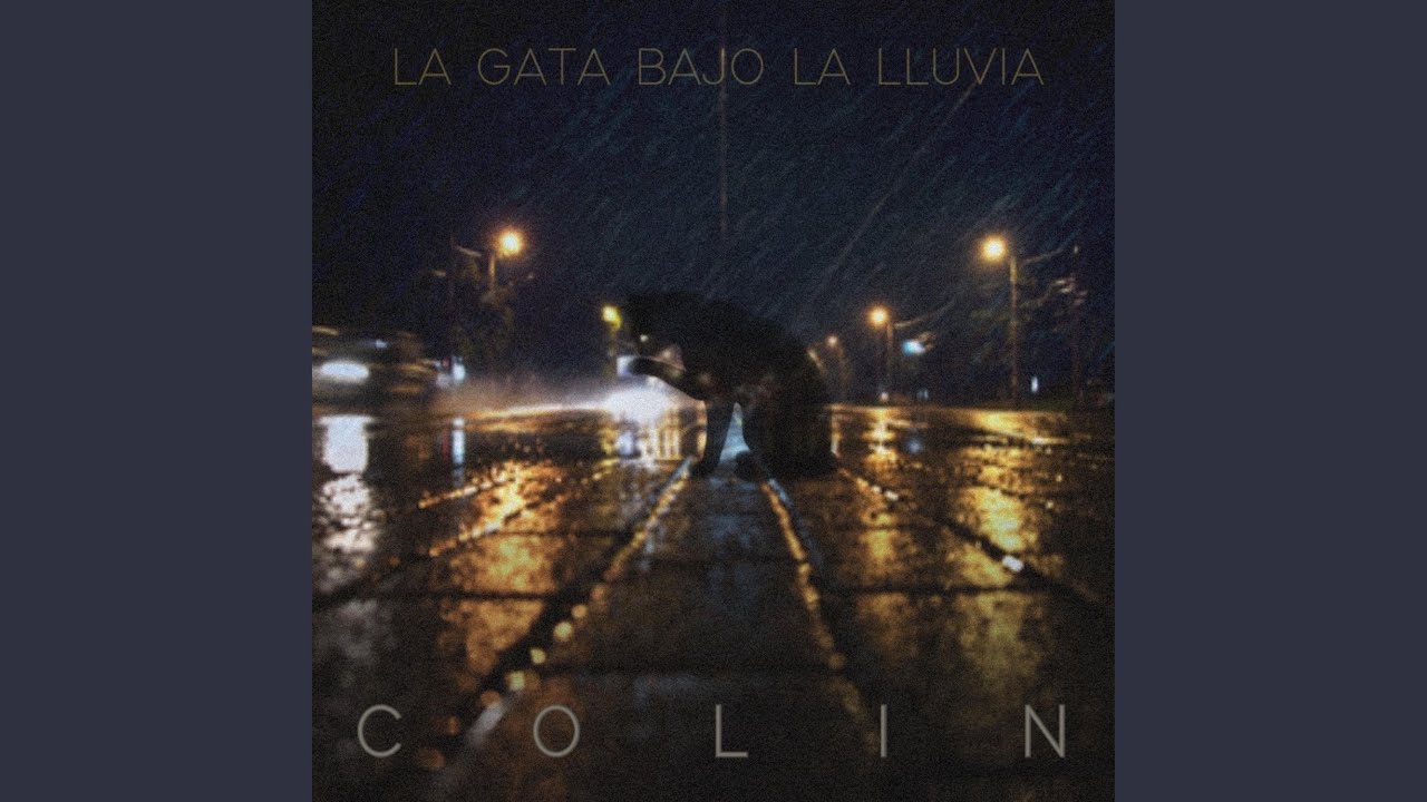 La gata bajo la lluvia