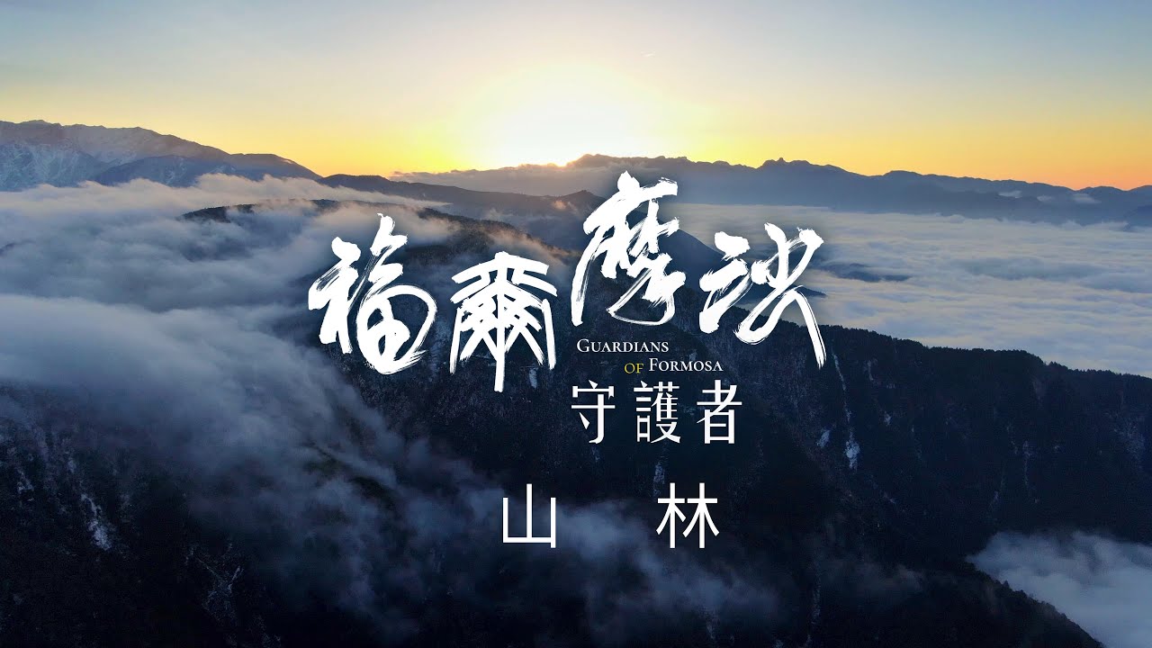 福爾摩沙守護者：山林篇 《聚焦全世界》第50期 (中英文字幕) ｜舒夢蘭｜Guardians of Formosa : Mountain Forest