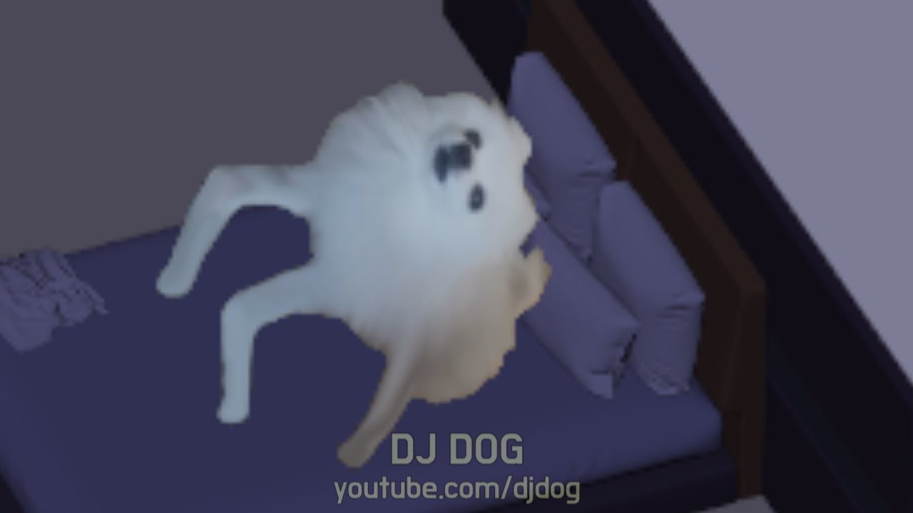 STAY - Dog Cover