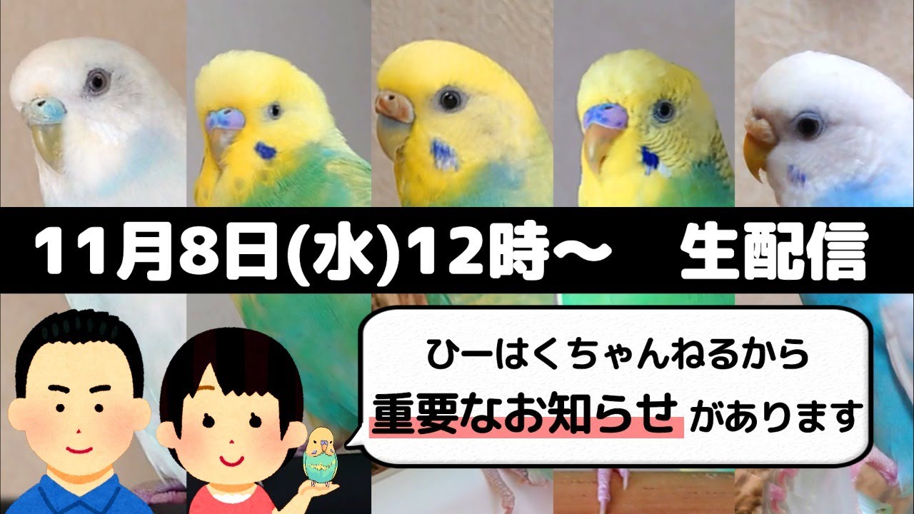 【生配信】今後について、皆様にお知らせがあります！