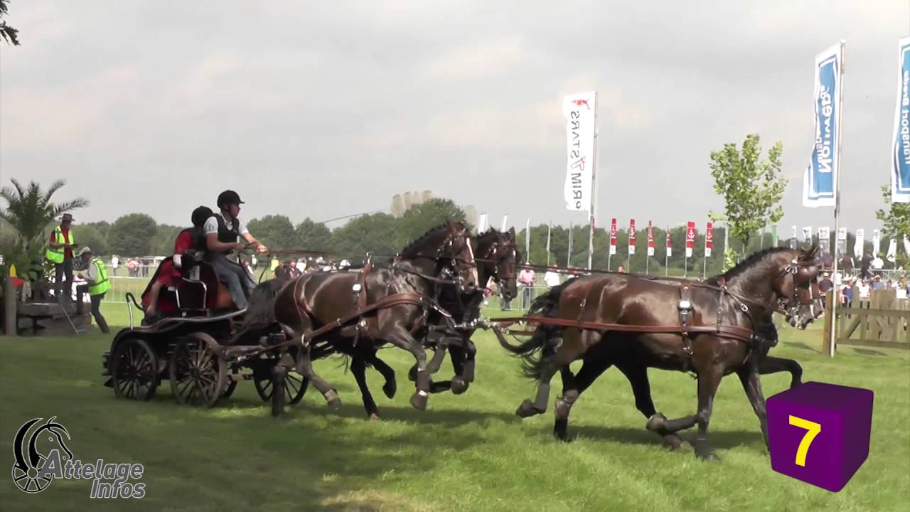Dries DEGRIECK   Bel   Marathon   FEI WDFC BREDA 2016