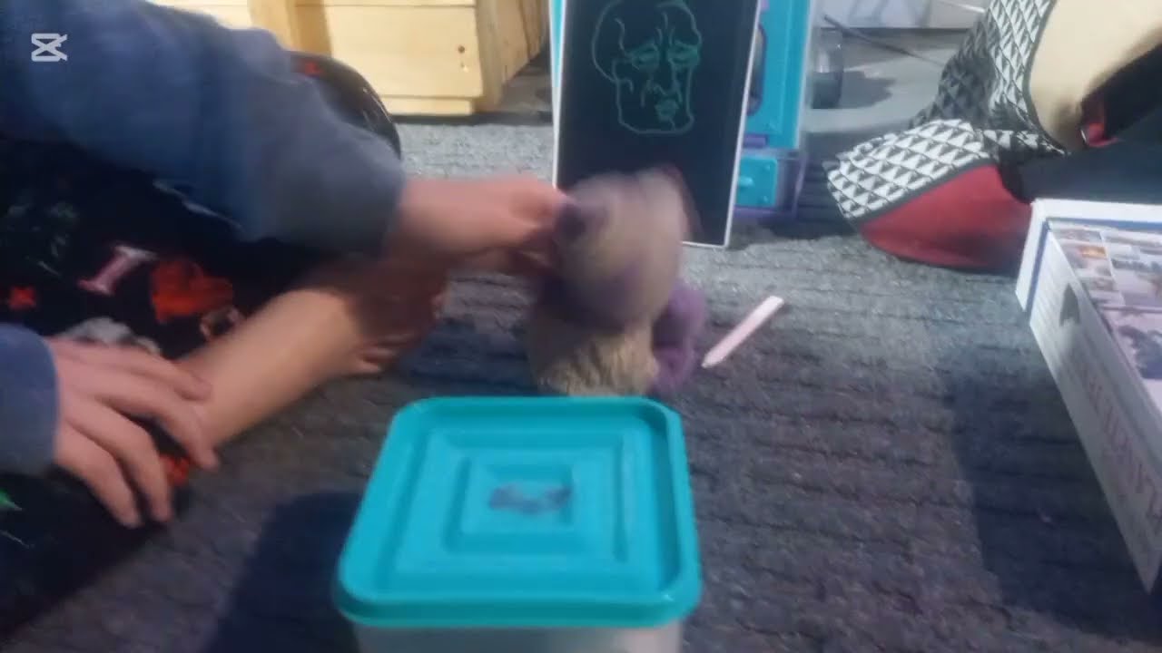 Purple pandas adventures episode 5