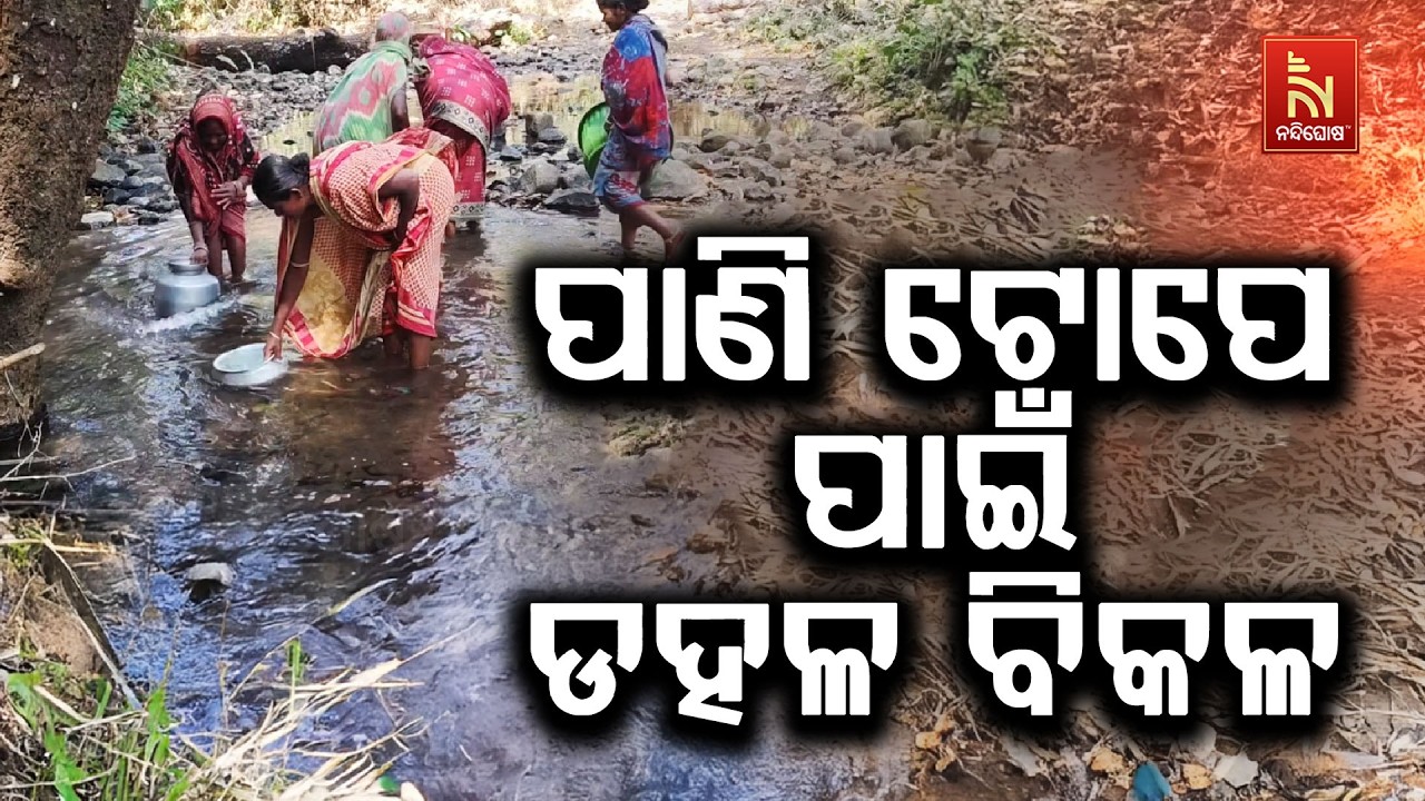 ଗଞ୍ଜାମ ଧରାକୋଟର ଅଶୋକପଲ୍ଲୀ ଗାଁରେ ପିଇବା ପାଣି ସଂକଟ | NandighoshaTV