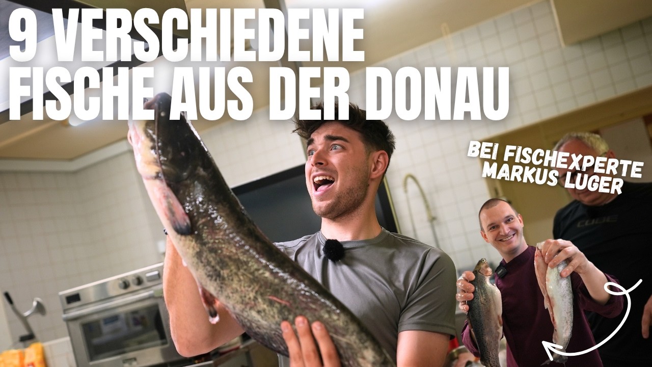 9 Donaufische im Geschmackstest – von Zingel bis Aal! 😲🇦🇹🐟 Fischen,  Schröpfen & Essen an der Donau