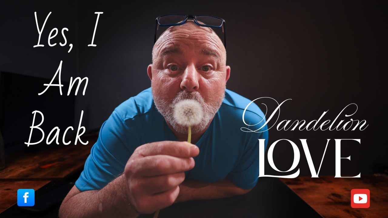How to store dandelion seeds for macro photography