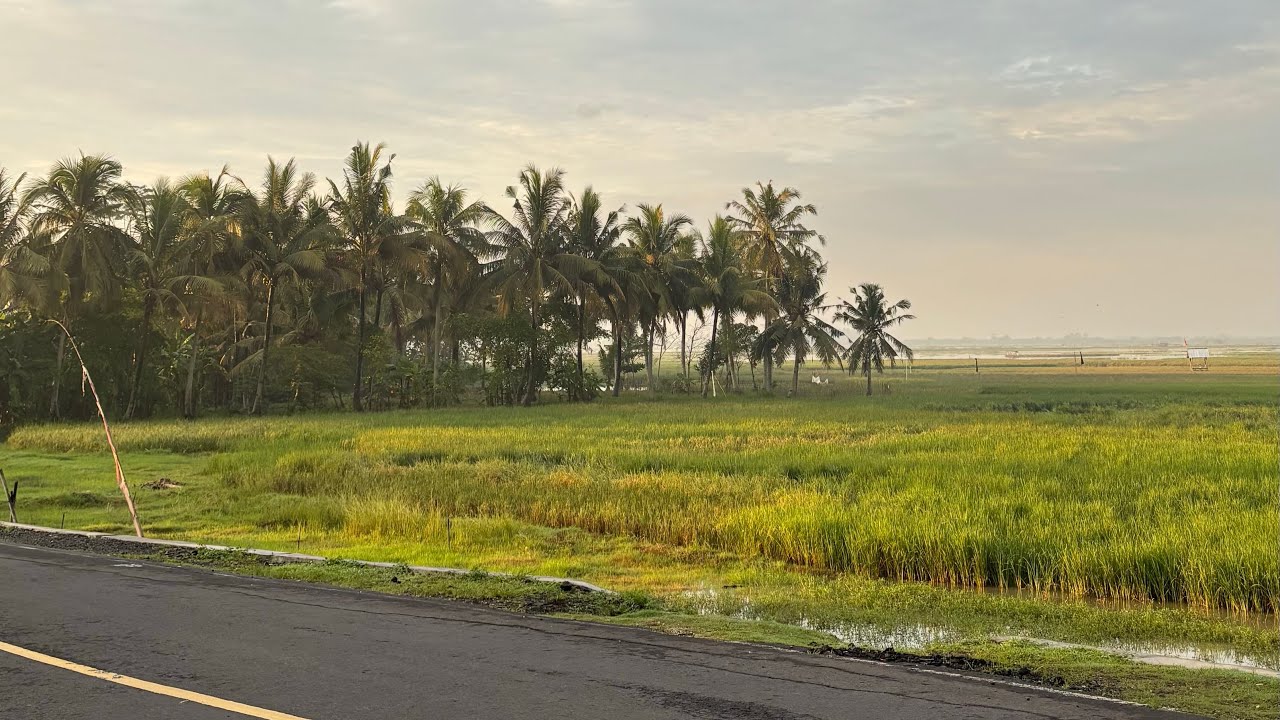 Shofi Diaries | A week in Cilacap