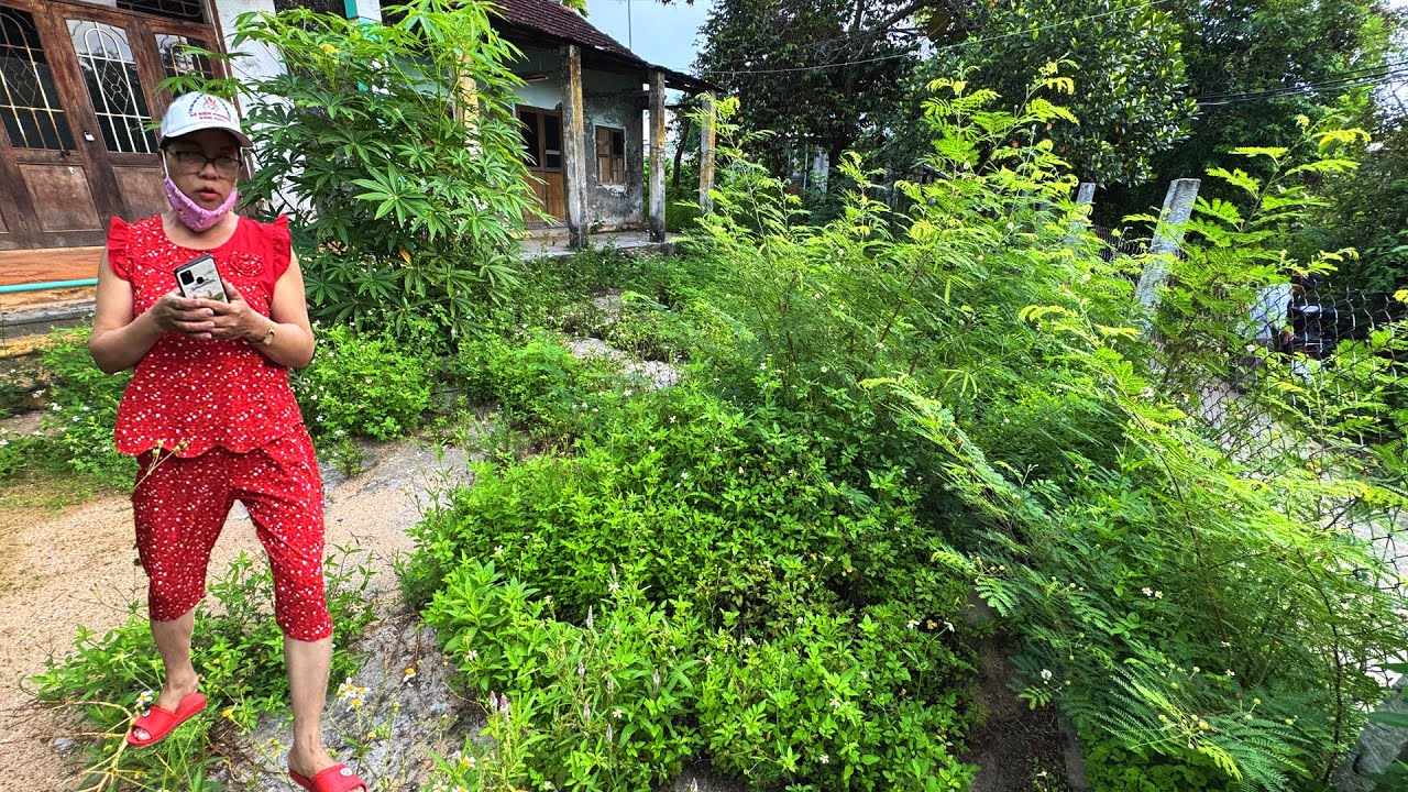Single Mom Breaks Down in Tears After Free Cleaning | Mowing , Cleaning and Renovating the Garden