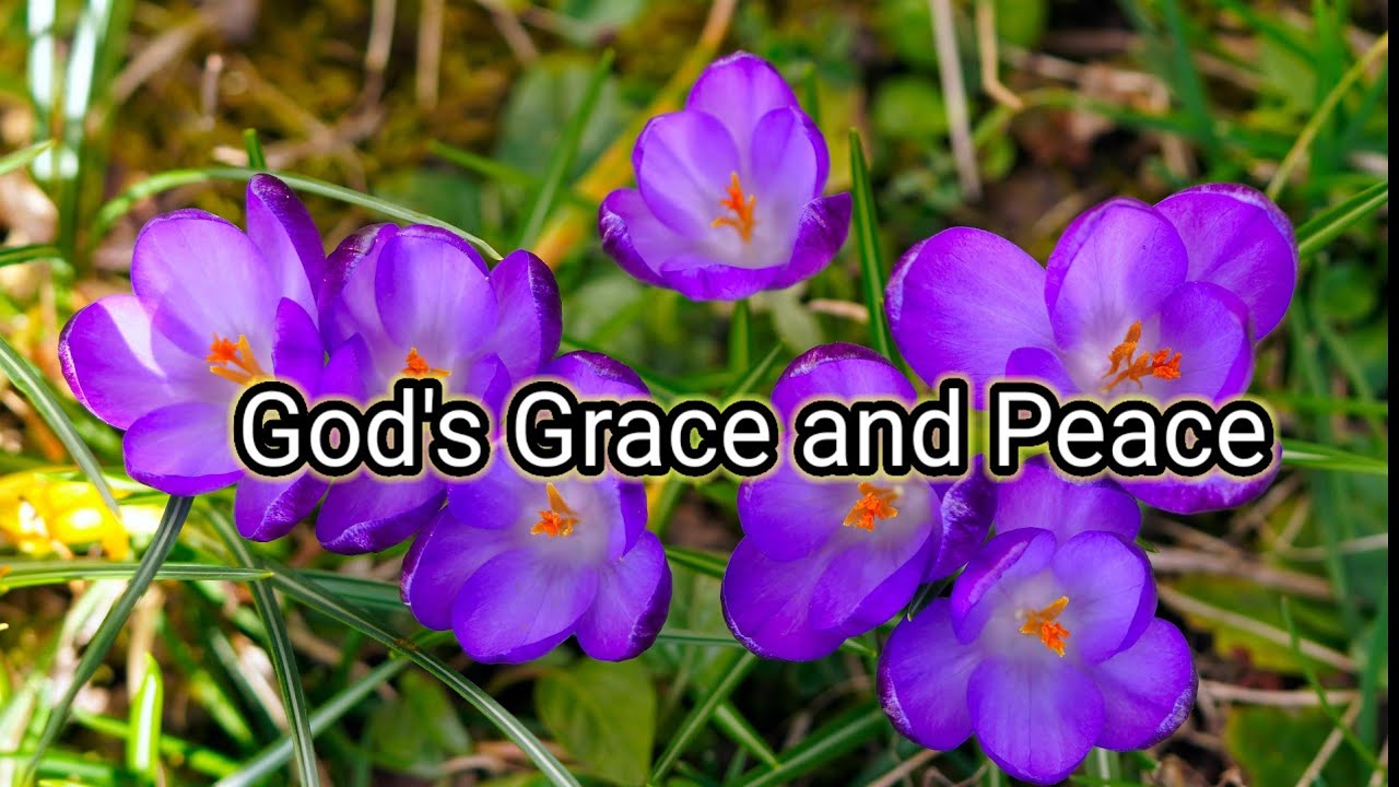 주님의 은혜와 평강 Grace and Peace of the Lord