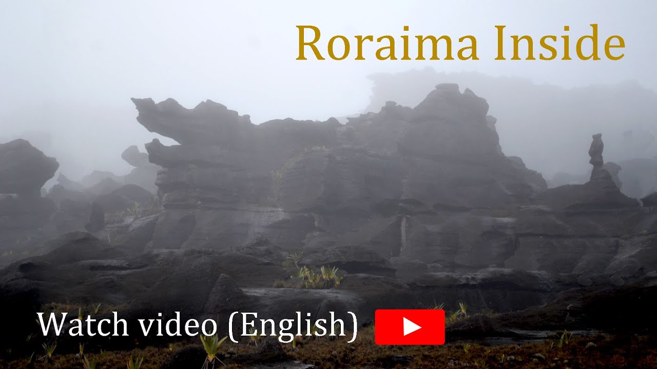 RORAIMA INSIDE - A trip to the oldest and most mysterious Mountain in the world.