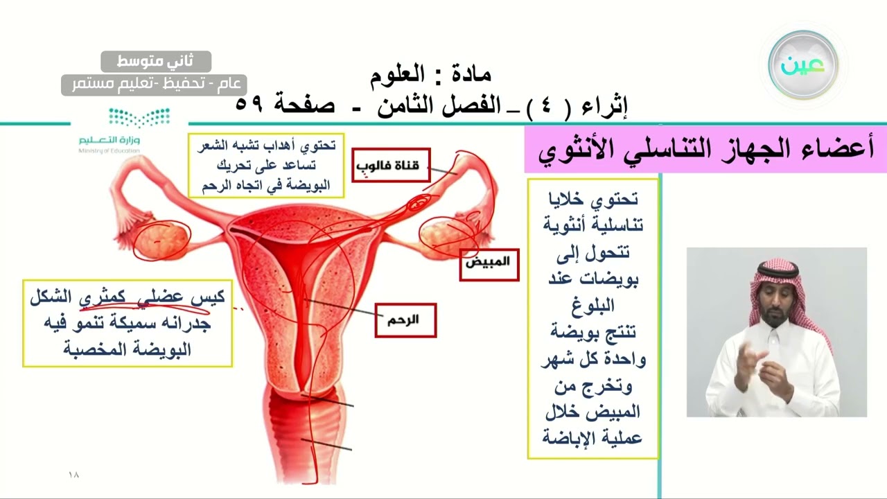 إثراء (4 ) - الفصل الثامن - العلوم - ثاني متوسط