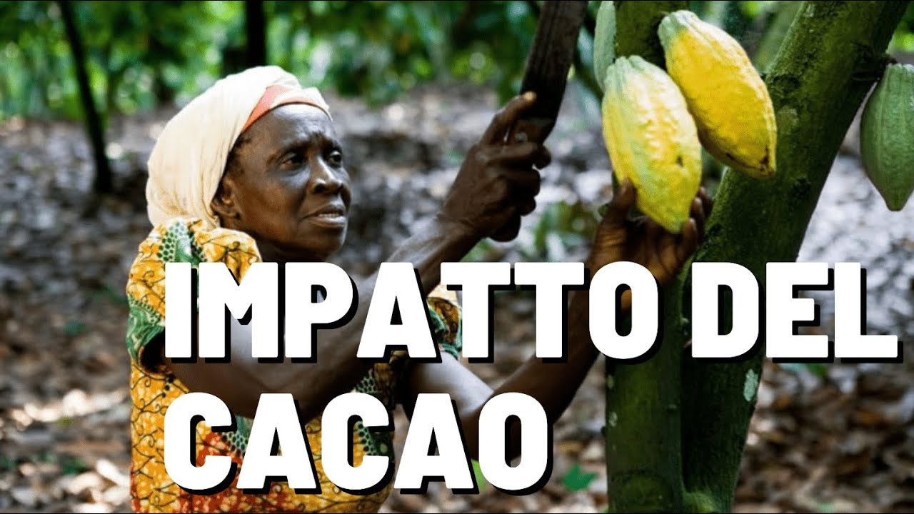 AMI il CIOCCOLATO 🍫? Allora questo video non ti piacerà!!! IMPATTO AMBIENTALE COLTIVAZIONI CACAO