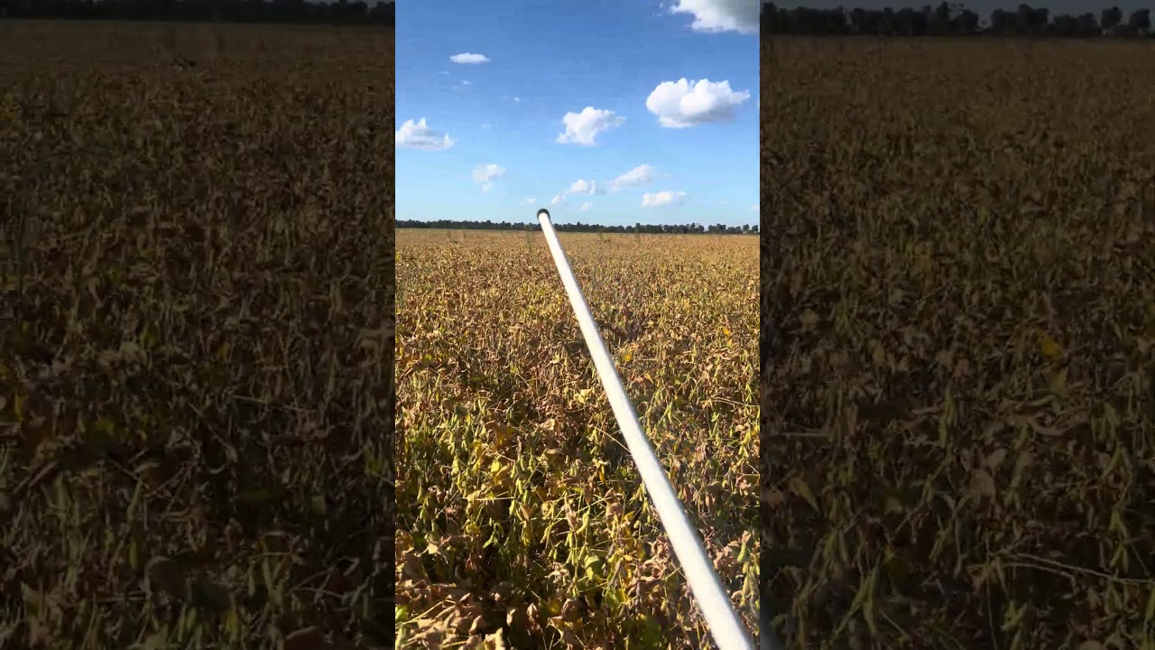 Comparativo de GAPPER e Diquat na dessecação da soja! #fazenda #sojabrasil #dessecação#corteva