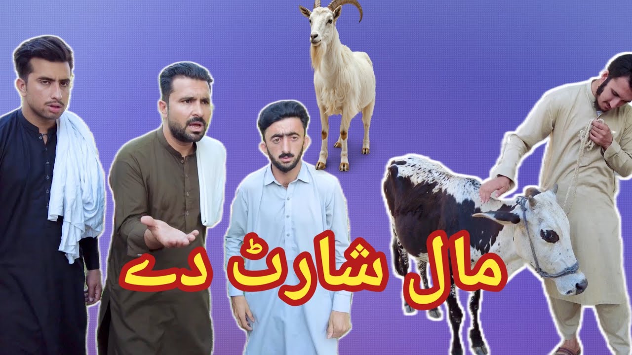 Maaluna short di 😂 | Shab Pictures