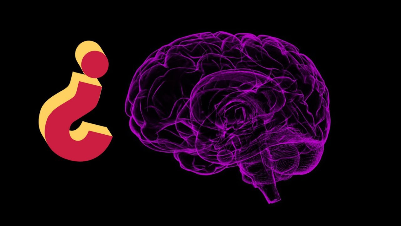 5 Grandes Mitos Del Cerebro