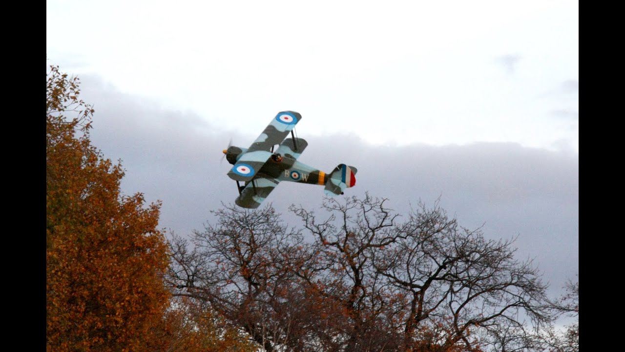 Kiebitzflieger in PILA (Polen)