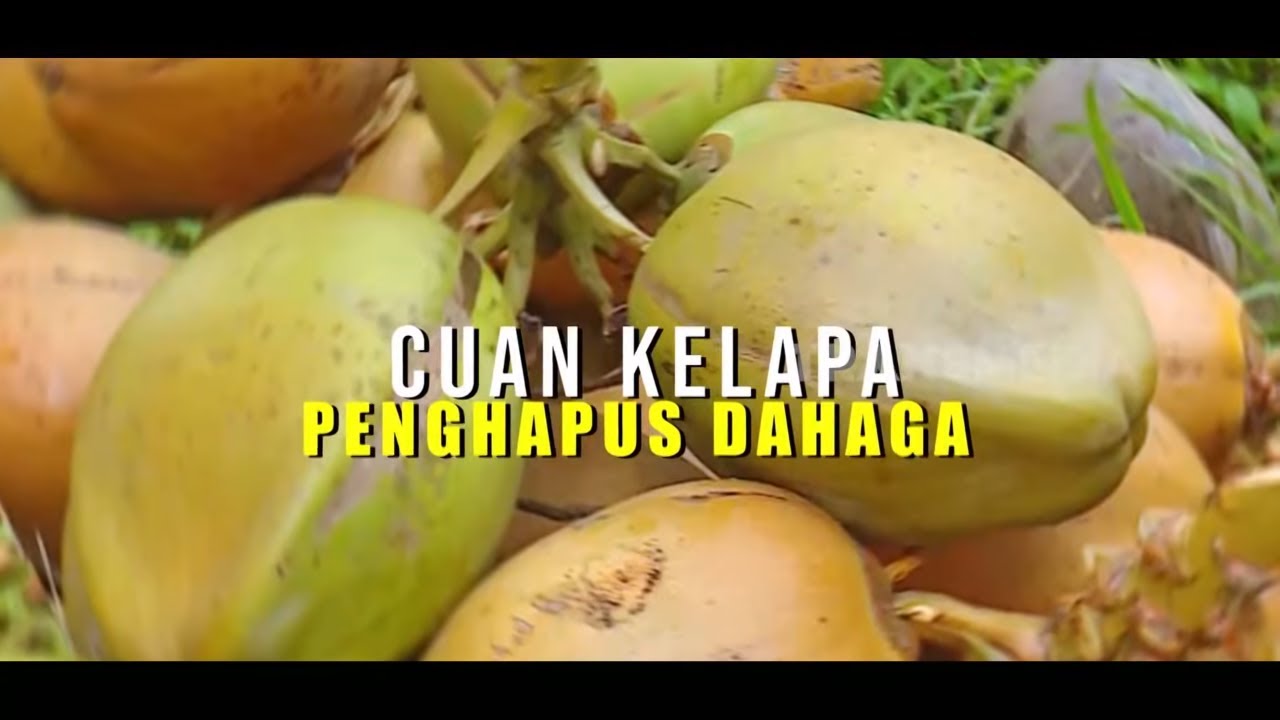 Cuan Kelapa Penghapus Dahaga | SECRET STORY (26/02/26)