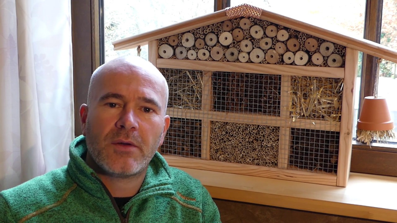 Insektenhotel selber bauen / Nisthilfe (kleines Haus)