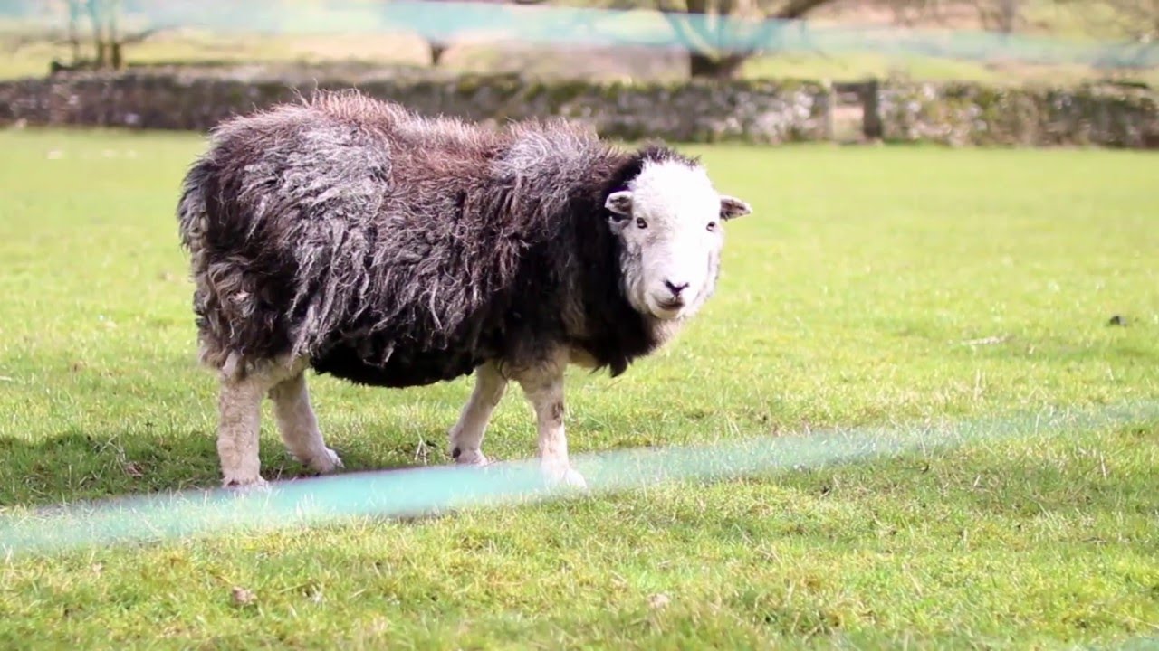 Well Connected Wellness Retreat | The Lake District