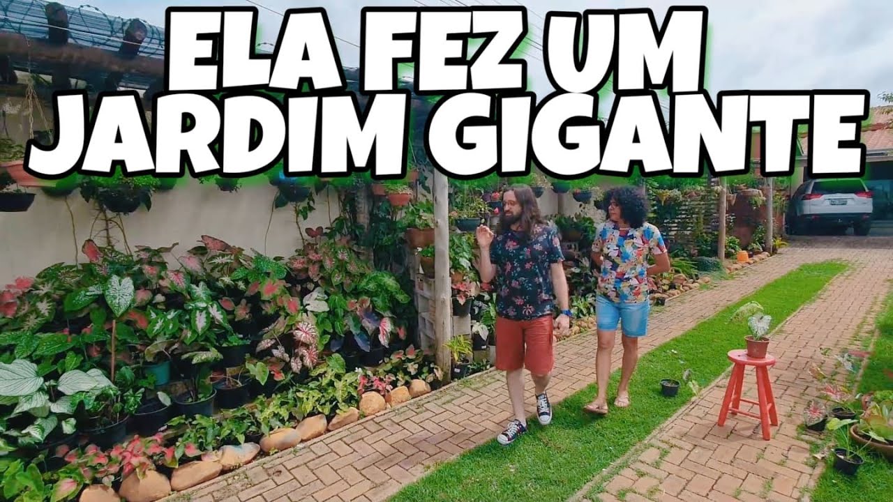 JARDIM GIGANTE - Ela vive cercada por plantas suculentas e Caladium