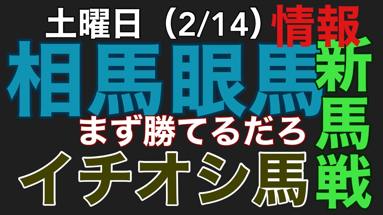 2026年2月13日