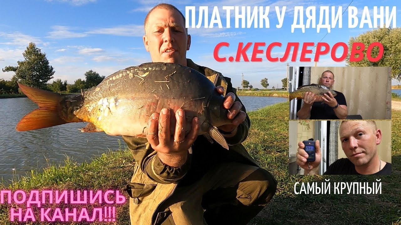 Выезд на БАЗУ с.Кеслерово Платник у Дяди Вани(У БОРОДЫ) Бешеная поклевка КАРПОВ.Вся инфа на видосе