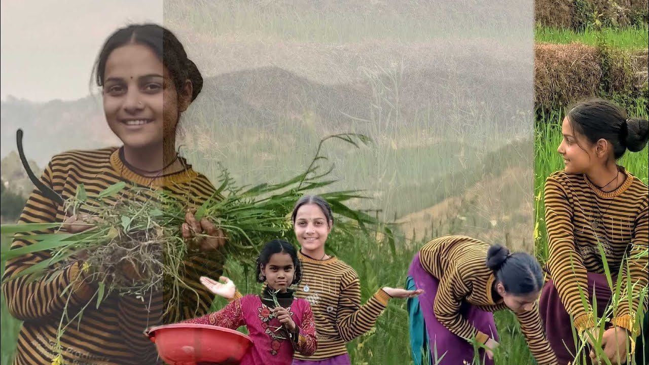 जंगली मुर्गियो ने चेलेंज Vlog खराब कर दिया।....🤣🥲