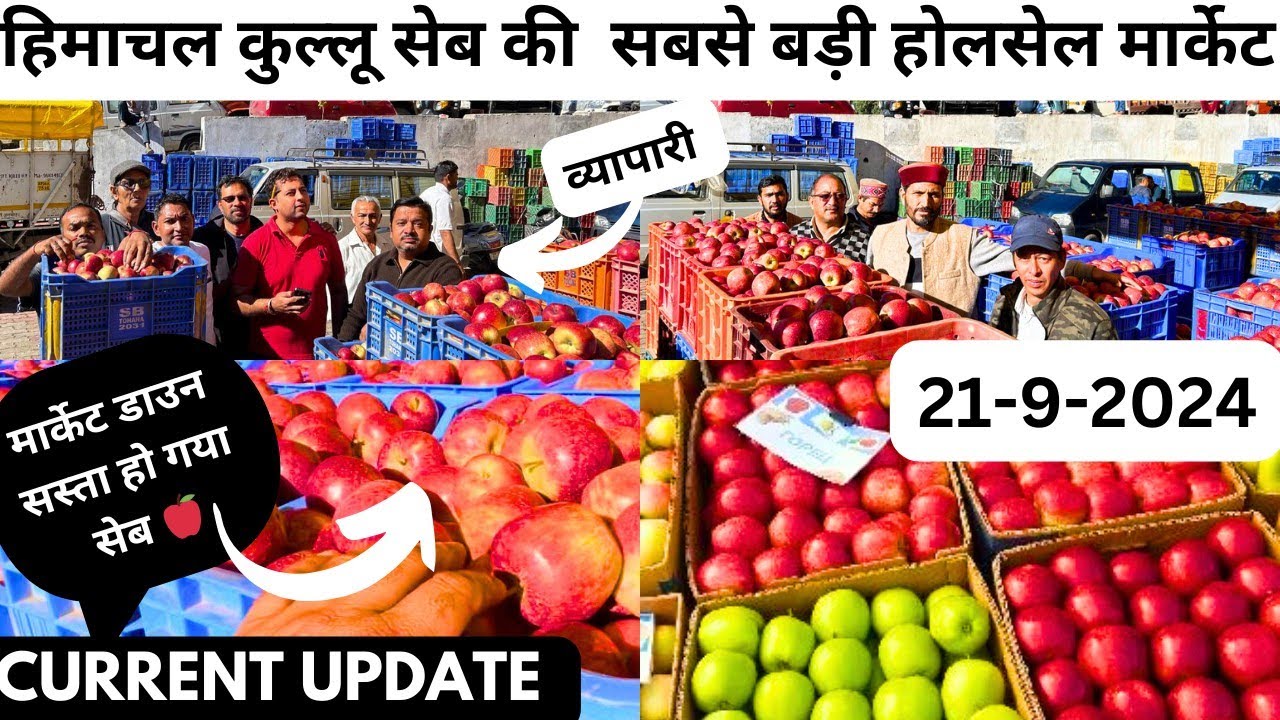 हिमाचल कुल्लू सेब की सबसे बड़ी होलसेल मार्केट🍎सबसे सस्ता सेब यहाँ मिलेगा🍎21 SEPTEMBER 2024