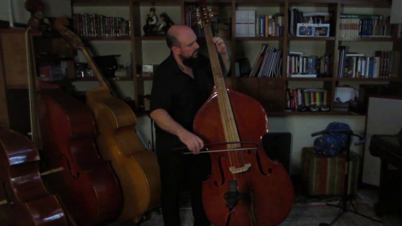 Concerto for Double Bass in Viennese tuning, Mov. I, by Johann Baptist Vanhal