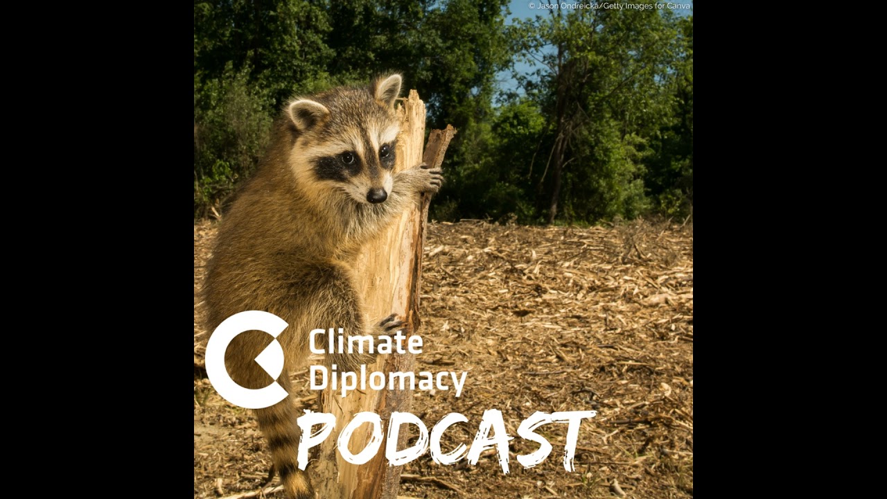 Episode 49: Unrooting environmental crime: Impacts and opportunities for climate and security