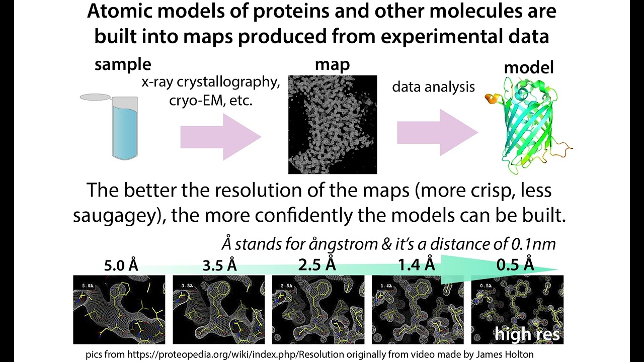An overview of PDB (Protein Data Bank) entries: What's where & how to get structural info you need