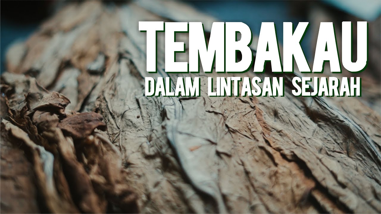 Tembakau Jawa Tengah dalam Lintasan Sejarah | Tobacco of Java Story