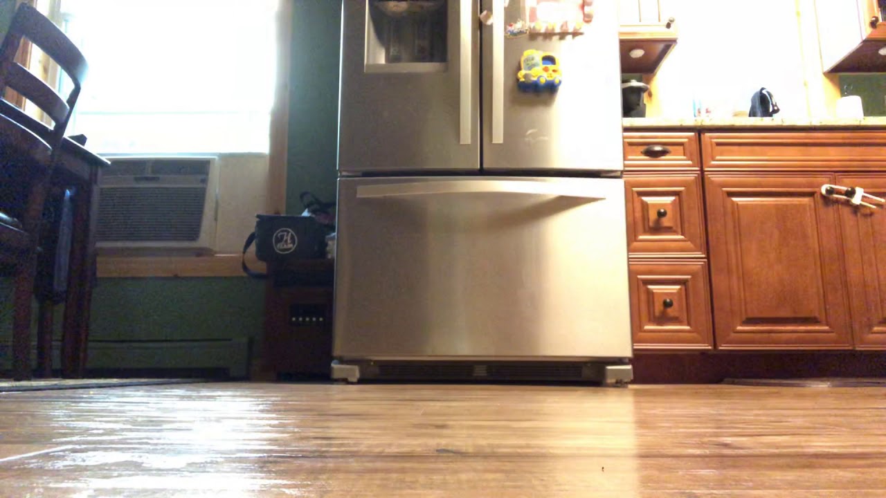 ZOOM CHALLENGE GONE WRONG 😬