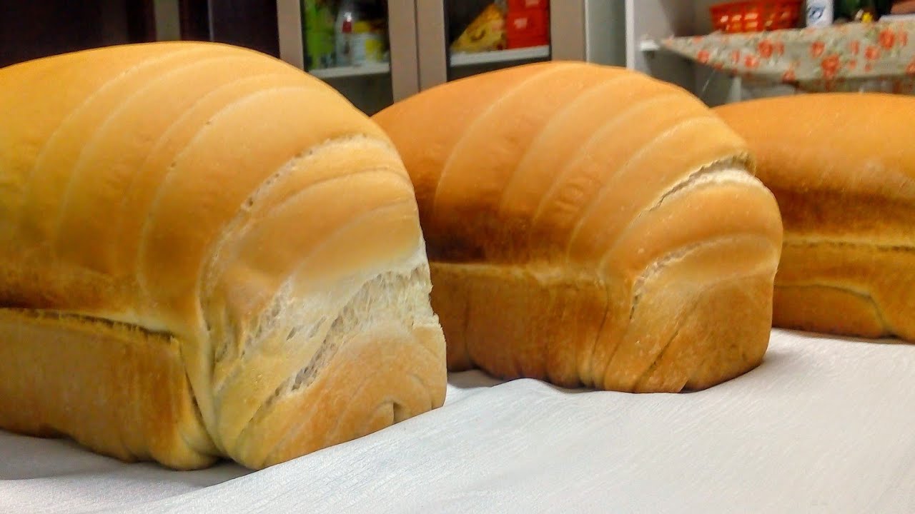 SUA PRIMEIRA VEZ,PAO DE FERMENTO DE LITRO