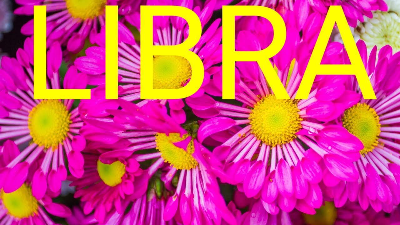 LIBRA TAROT READING! JUNE 2024