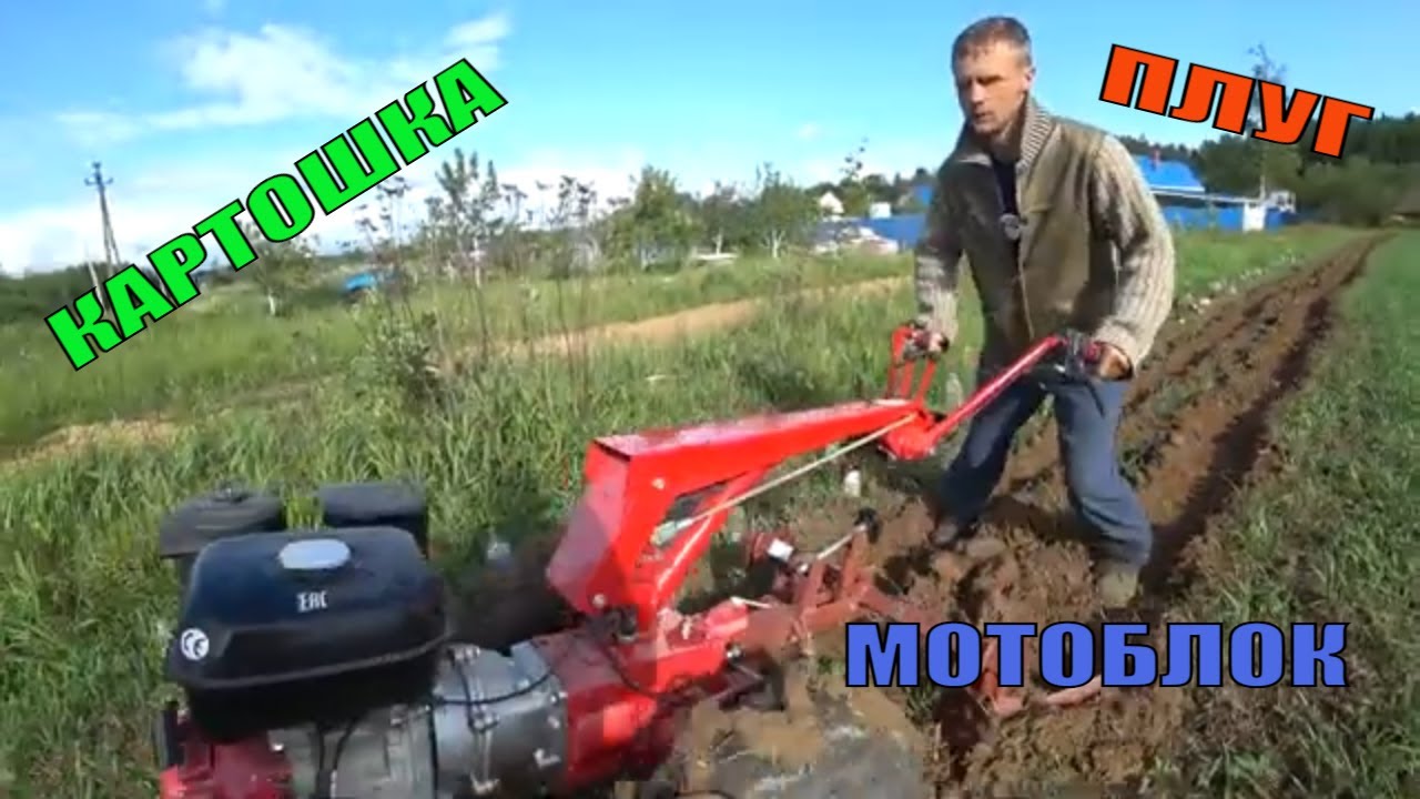 Собрали урожай))) МТЗ беларус. Деревенские будни. Из города в деревню.