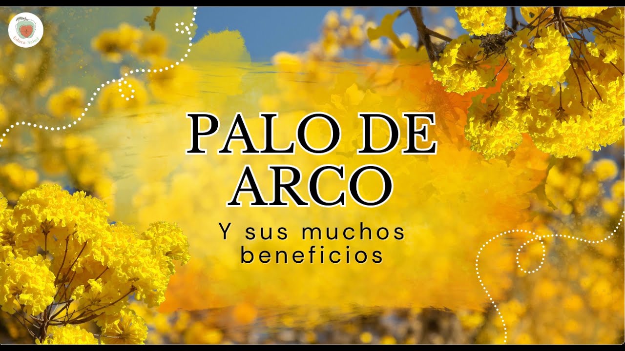 PALO DE ARCO o PAU D'ARCO: Propiedades Medicinales