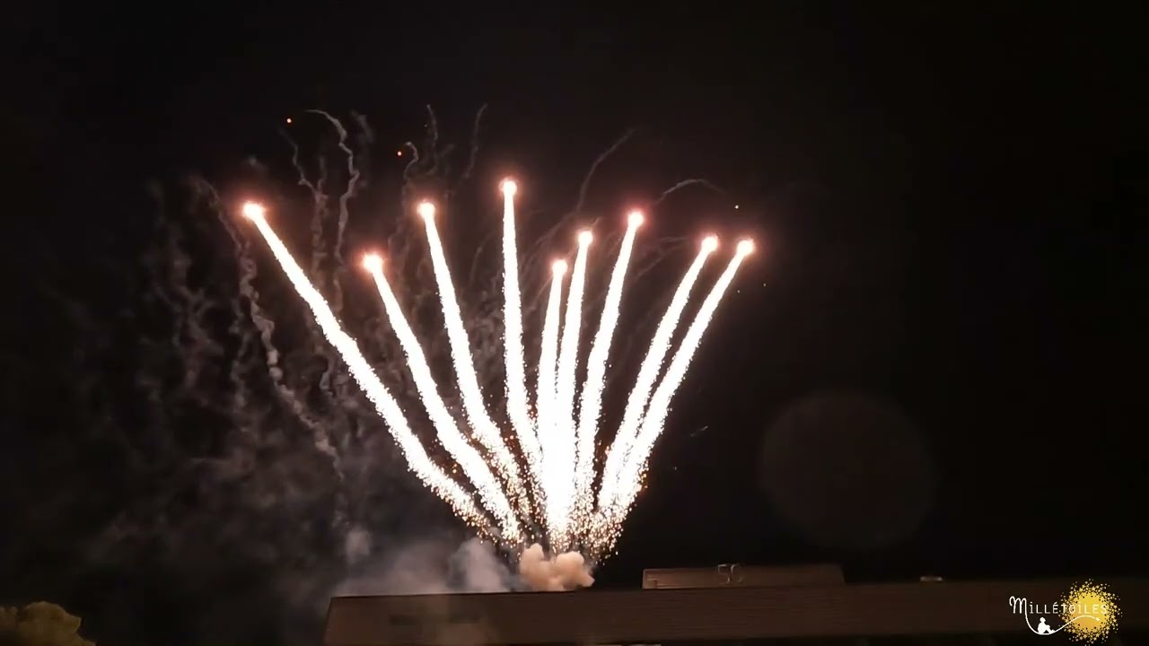 Un Feu d’Artifice Éblouissant pour les 50 ans de Méditerranée Environnement dans le Var