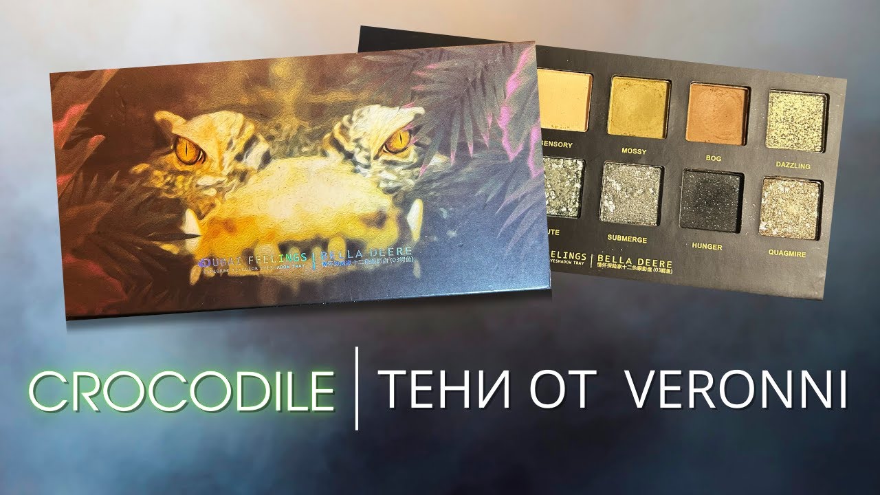 Обзор редкой палетки теней от Veronni