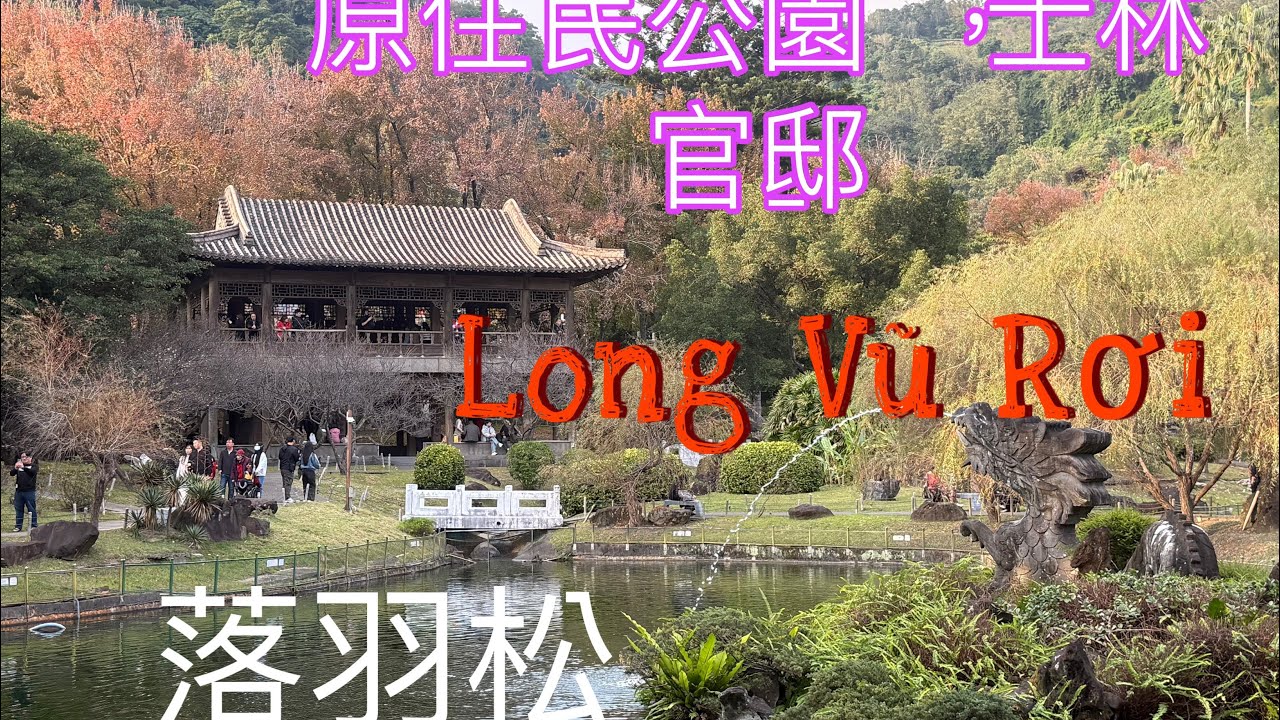  落羽松秘境景點士林官邸，原住民公園，Lông vũ Rơi 