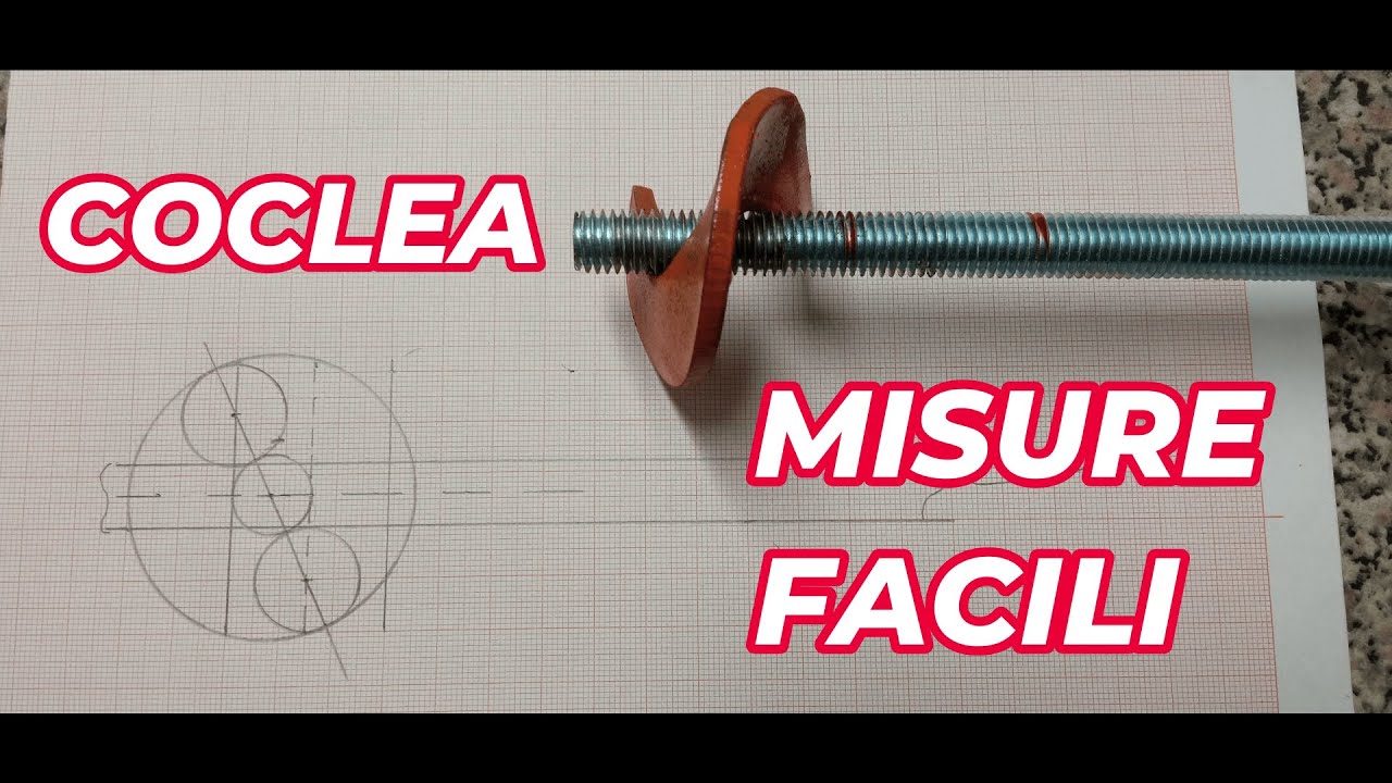 📐 Coclea fai da te come trovare le misure per costruirla.
