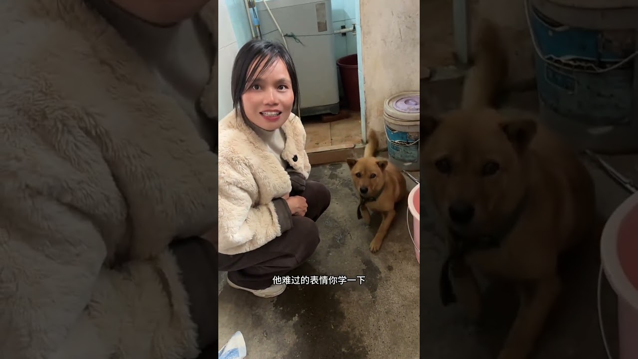 （27岁弟弟和42岁女友日常）朴实的农村生活#情侣日常 #记录真实生活 #农村生活 #姐弟恋 @嘉嘉爱李