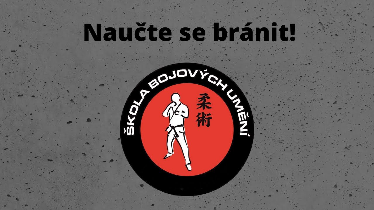 Škola bojových umění