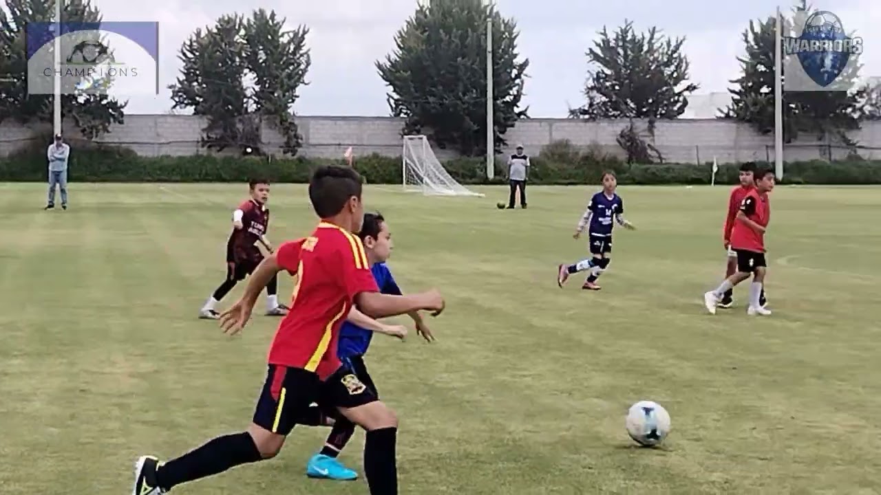 Halcones caen 11-3 ante Warriors (2014-15) en juego amistoso en Champions Kids