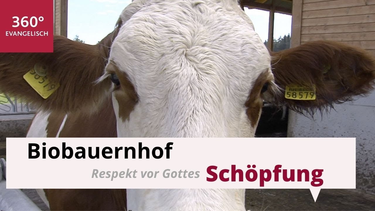 Respekt vor Gottes Sch&ouml;pfung: Ein Besuch auf dem Biobauernhof