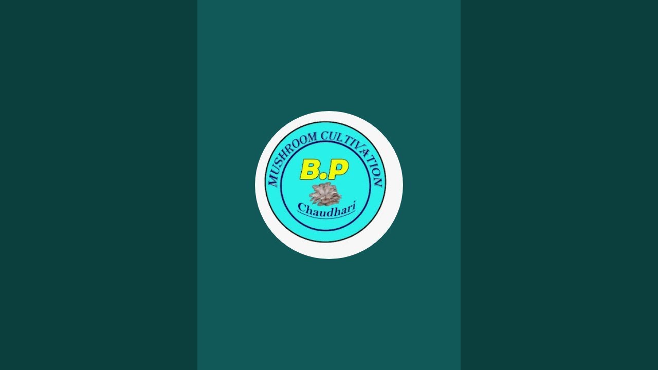 B. P Chaudhari is live!
