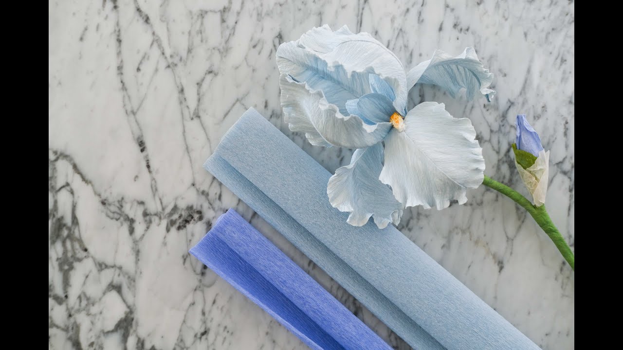 Iris Barbada Tutorial Demonstrativo parte2 - Bearded Iris Tutorial part 2