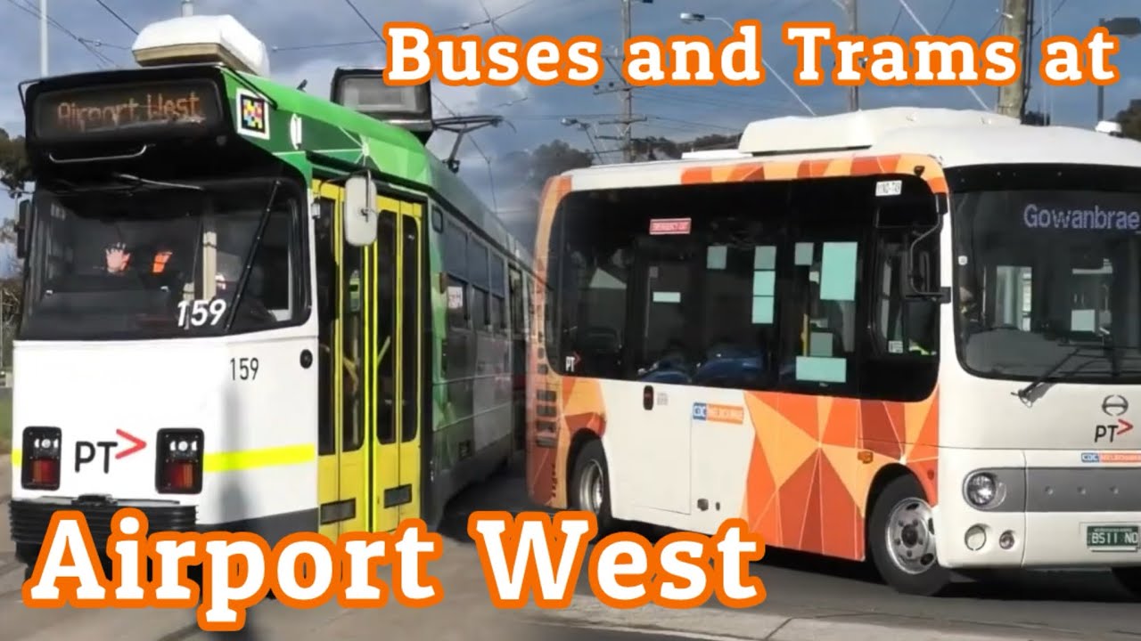 Buses and Trams at Airport West