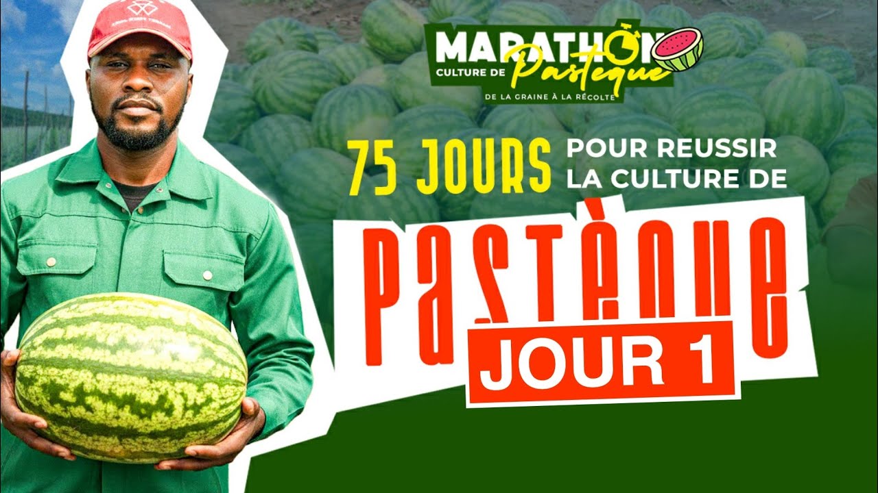 [JOUR 1] MARATHON CULTURE DE PASTÈQUE 🍉 : LE LABOUR